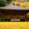 国東半島の紅葉スポット 富貴寺 ふきじ 大堂の見ごろは12月初旬かな 15年 日々の 楽しい をみつけるブログ