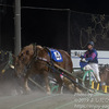 日本でも「北海道帯広市だけしか見れないレース」それは「ばんえい競馬」である！