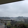 冷たい雨ね