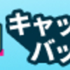 ペソ振り返り２月１週２０１９年