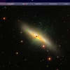 おおぐま座 M82 に 超新星候補現る