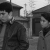 十代の狼　　1960年　日活