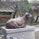 教員、社会人大学院生になる。