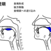 誤嚥性肺炎を予防するための在宅内視鏡検査～内視鏡検査(嚥下内視鏡)を開始しました