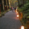 #京都紅葉三昧 《♯︎2》　―「#貴船神社」「#ライトアップ」「#マイクロフォーサーズ」 ―