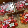 【ふるさと納税返礼品】山形から佐藤錦届く