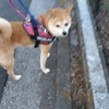 ありゃ、もう３月、だよ