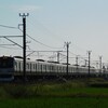 上り線の線路際もスッキリしておりました