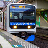 伊豆急アロハトレイン乗車旅