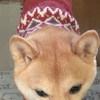 お暇そう・・、だよ