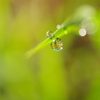 久し振りの～ほんのお湿りの雨！