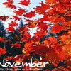 November/霜月