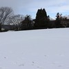 雪の森の幼稚園