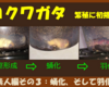 コクワガタ　繁殖に初挑戦　その３（蛹化、そして羽化）