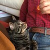 猫レオ"嫌だなぁ、ミカンなんか食べないでよ"