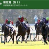 【10/20 (日) ハルの競馬日記 〜菊花賞(G1)予想〜 】