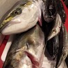 本日の漁港直送便そして七草粥
