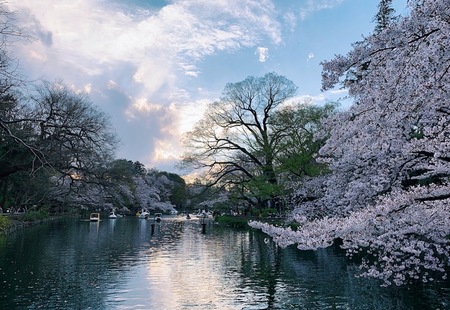 すべての思い出が溶け込む街、吉祥寺