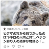 【クマイシス？！＝頻発するクマ被害……3／29－31　各地でクマたてこもり　福島・会津若松市、岩手・花巻市】＃533