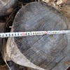 ケヤキの玉切りの薪割り　積み込んで終了　Chopping wood of the ball cutting zelkova