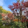 華厳寺【鈴虫寺】へ行ってきました！