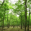 蛭ヶ岳南稜・臼ヶ岳南尾根から鍋割山日帰り登山！書策新道～塔ノ岳～大倉（後編）