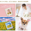 自分のイラストや写真が切手に！日本郵便のオリジナル切手作成サービスで一味違うグッズを作ろう