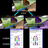 Pixtack紫陽花2.7.95.182_彩度範囲と明度範囲を指定して色変換できるようにした、自作のユーザーコントロール初使用