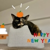 2026年もよろしくおねがいいたします！
