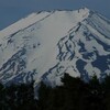 春の富士山とトマト、キュウリプロジェクト