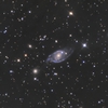 NGC1954,1957 <Lepus>