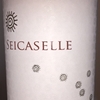 Tagaro Seicaselle Negroamaro Salento 2015