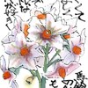 【西東京の植物絵手紙（36）…西東京市泉町で馬鈴薯（ジャガイモ）の花を見つけた！】