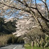 矢作ダム(豊田市)