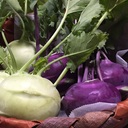 farm andante　美味しい野菜とふれあい菜園