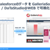 GalleriaSolo およびDaTaStudio@WEB でCData Drivers製品を利用する方法