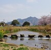 桜巡り　 ５　満願寺〜周辺の風景