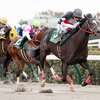 競馬初心者必見☆馬券予想🔥〜武蔵野S〜今年は大荒れの予感‥‥