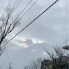 雪です⛄️