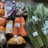 石狩にある、地物市場『とれのさと』5月の購入品🥬