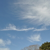 巻雲系の雲が魅せる