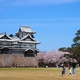 街をあるけば「菱櫓・二の丸」桜満開