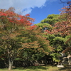 フォト・ライブラリー(319)秋の六甲山1〜山麓の風景