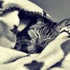 いただくコメントについて