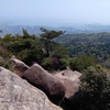 六甲山系ゆるっ登山：ツツジのトンネルを抜けて荒地山。おたまじゃくしも健在【城山登山口～荒地山～風吹岩～高座の滝登山口】