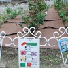 <span itemprop="headline">鶴舞公園のベルサイユのばらと「暮らしの手帖」</span>