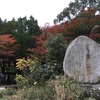 井原市 鬼ヶ嶽の紅葉と白糸の滝