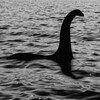 ネス湖のモンスターハンター募集中！