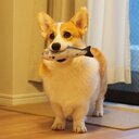 リーズナブルに生きる私の備忘録