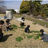 鳴尾浜｜2025年3月11日（火）鳴尾浜臨海公園で「ちびっこ親子しぜんあそび」が開催されます